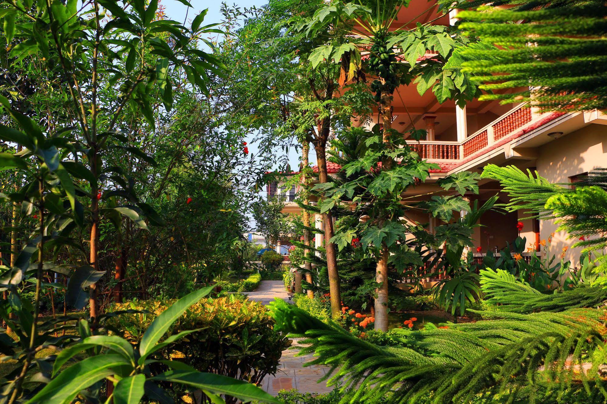 Hotel Royal Safari Sauraha Exterior photo